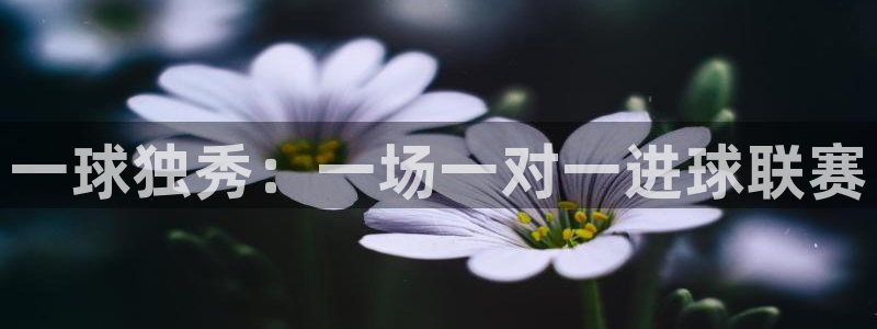  意昂2平台股东：一球独秀：一场一对一进球联赛