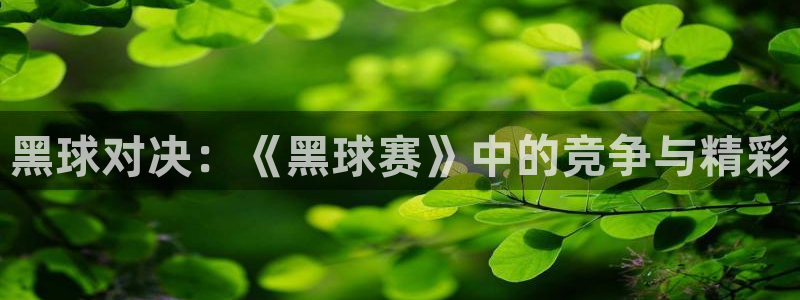意昂2娱乐平台开户：黑球对决：《黑球赛》中的竞争与精彩