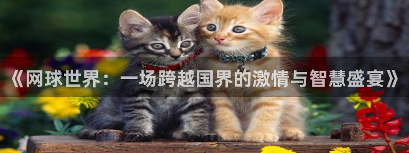 意昂2登录注册：《网球世界：一场跨越国界的激情与智慧盛宴》