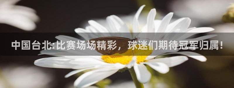 意昂2登录入口：中国台北:比赛场场精彩，球迷们期待冠军归属!