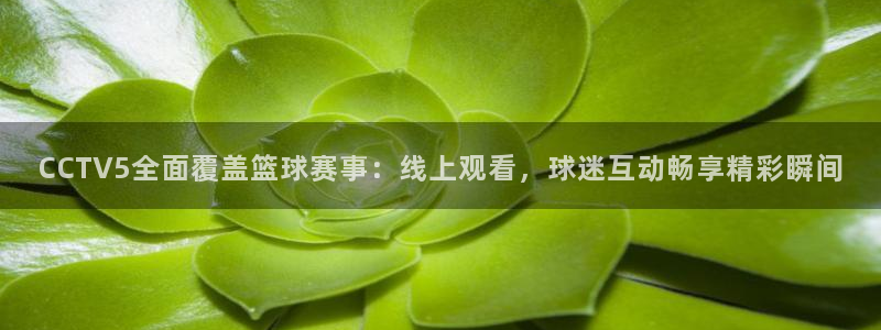 意昂2体育官方网站：CCTV5全面覆