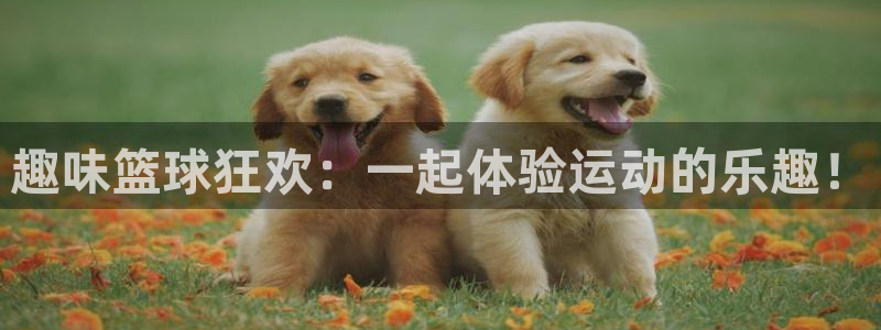 意昂2平台：趣味篮球狂欢：一起体验运