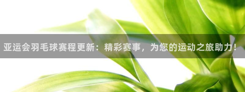 意昂2代理注册：亚运会羽毛球赛程更新