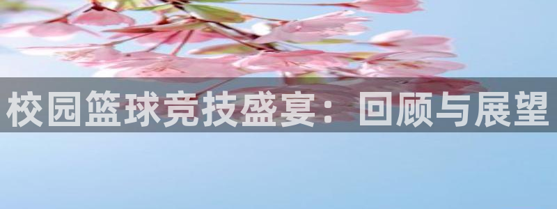 意昂2官网：校园篮球竞技盛宴：回顾与