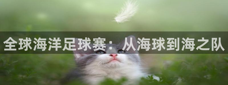 意昂2登录入口：全球海洋足球赛：从海