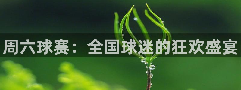 意昂2体育在线平台登录：周六球赛：全
