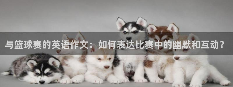 意昂2体育官方网站：与篮球赛的英语作