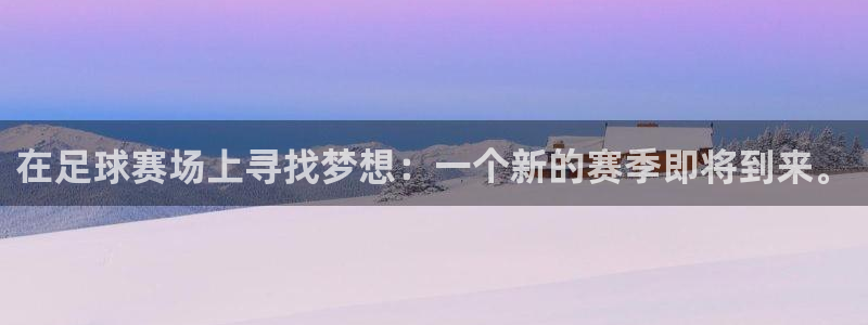 意昂2体育官方网站：在足球赛场上寻找