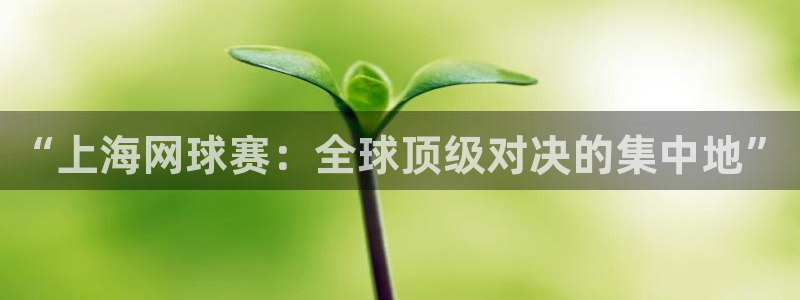 意昂2：“上海网球赛：全球顶级对决的