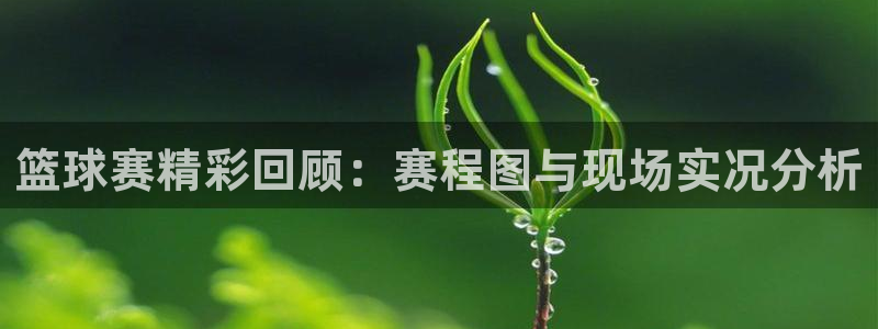  意昂2平台：篮球赛精彩回顾：赛程图与现场实况分析