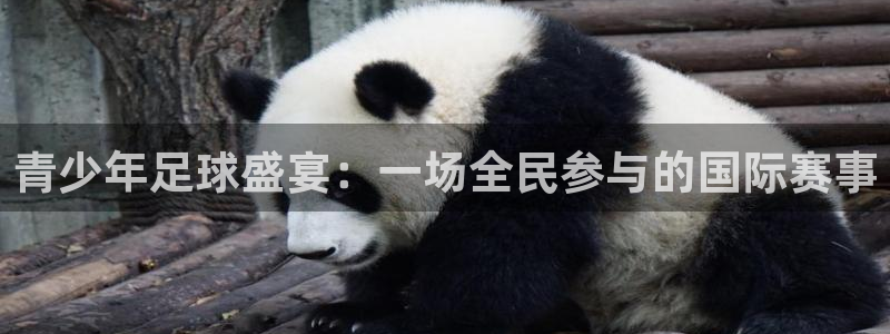 意昂2体育在线平台登录：青少年足球盛