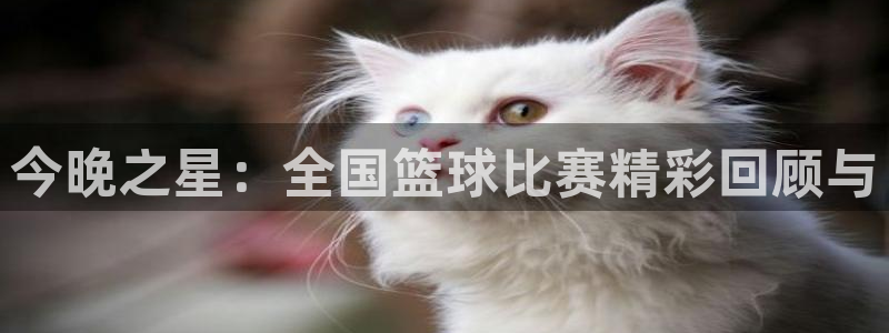  意昂2登录地址：今晚之星：全国篮球比赛精彩回顾与