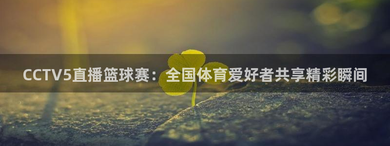 意昂2意昂2平台：CCTV5直播篮球