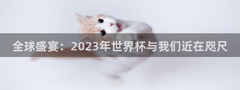  意昂2平台注册：全球盛宴：2023年世界杯与我们近在咫尺
