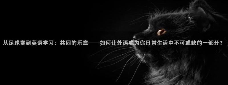 意昂2如何注册开户：从足球赛到英语学