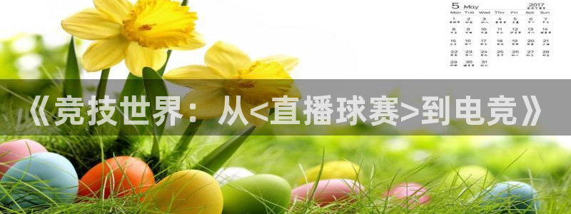 意昂2账号登录入口：《竞技世界：从<