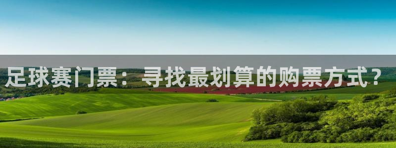 意昂2登录入口：足球赛门票：寻找最划