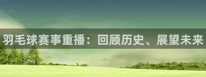 意昂2登录入口：羽毛球赛事重播：回顾