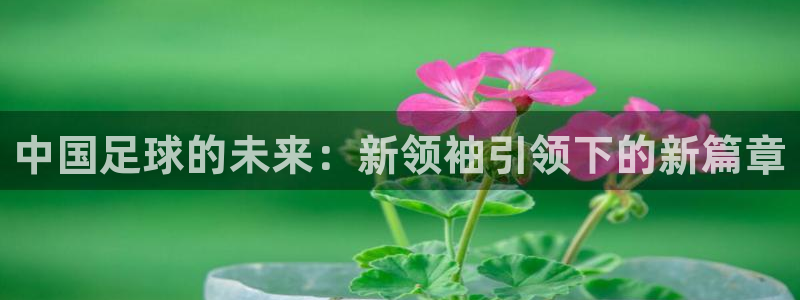 意昂2体育:中国足球的未来:新领袖引领下的新篇章