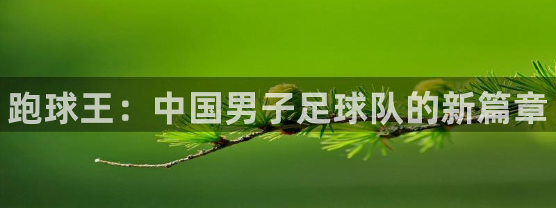 意昂2账号登录入口：跑球王：中国男子足球队的新篇章
