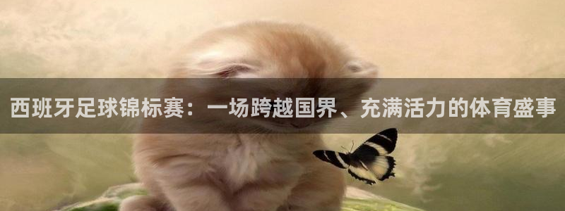  意昂2平台怎么样：西班牙足球锦标赛：一场跨越国界、充满活力的