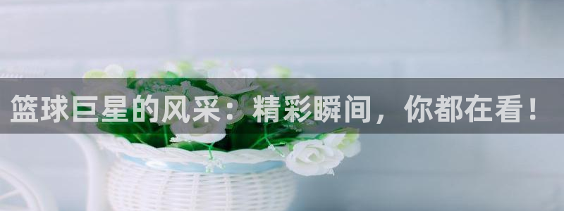 意昂2:篮球巨星的风采:精彩瞬间,你都在看!