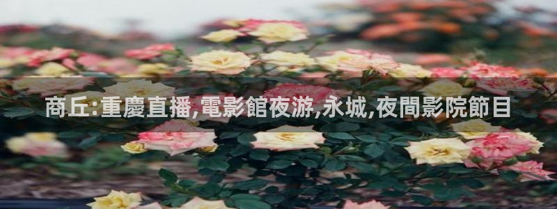 鲸鱼直播体育：商丘:重慶直播,電影館夜游,永城,夜間影院節目