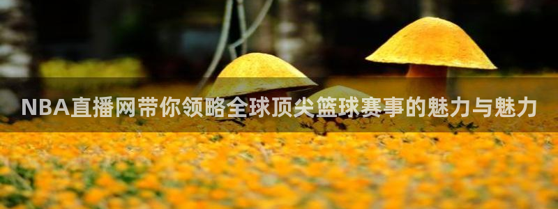 鲸鱼体育在线直播：NBA直播网带你领略全球顶尖篮球赛事的魅力与魅力