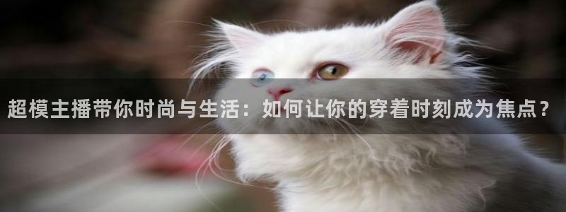 鲸鱼体育直播nba：超模主播带你时尚与生活：如何让你的穿着时刻成为焦点？