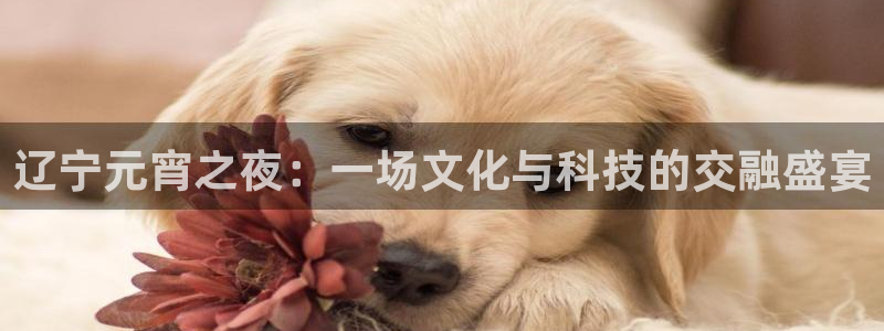 鲸鱼体育app