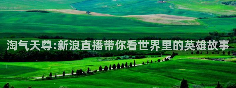 鲸鱼体育免费版：淘气天尊:新浪直播带你看世界里的英雄故事