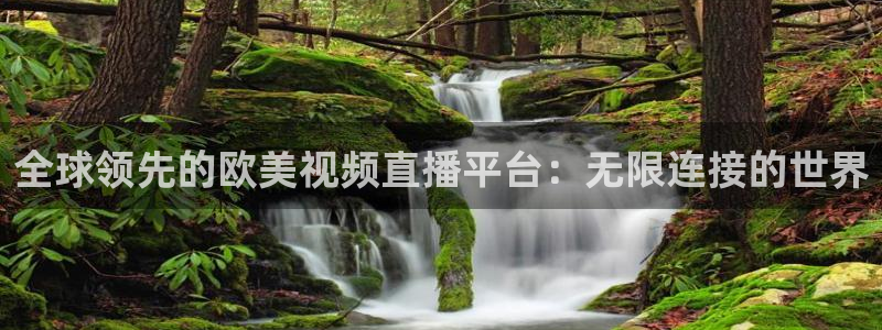 鲸鱼体育在线直播nba：全球领先的欧美视频直播平台：无限连接的世界