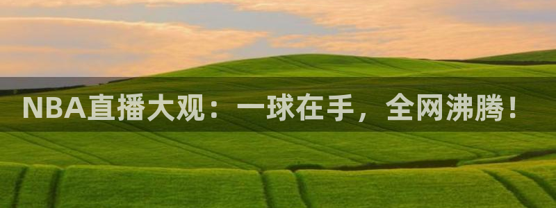 下载鲸鱼体育直播：NBA直播大观：一球在手，全网沸腾！